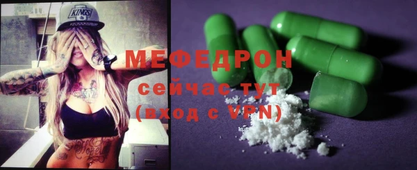 гидра Каменка