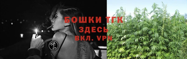 гидра Каменка