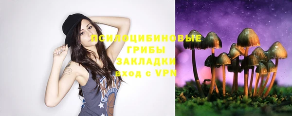 стаф Каменногорск