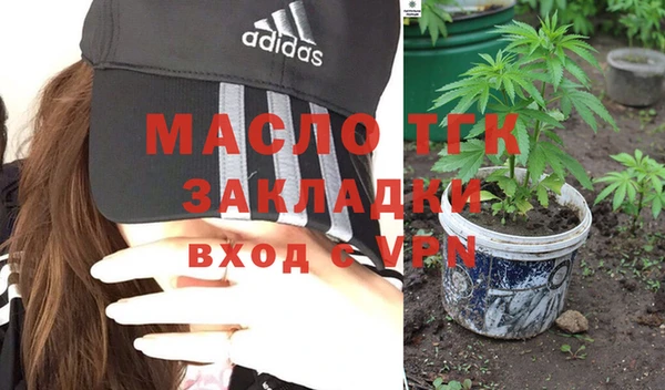 гидра Каменка