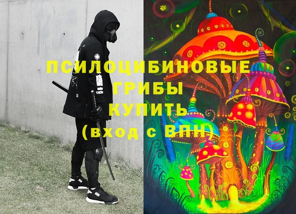 стаф Каменногорск