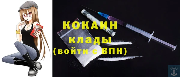 стаф Каменногорск