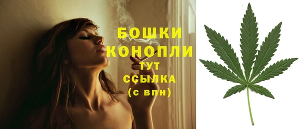 СК Слюдянка