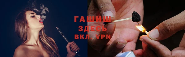 гидра Каменка
