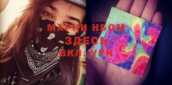 гидра Каменка
