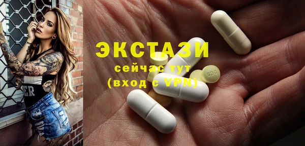 гидра Каменка