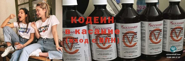 гидра Каменка