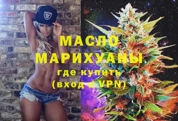гидра Каменка