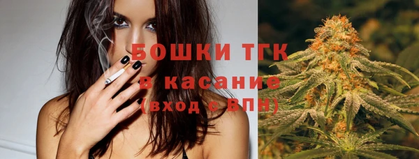 стаф Каменногорск