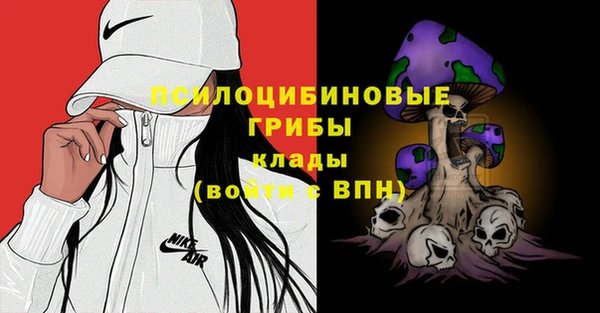 стаф Каменногорск