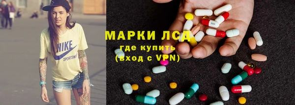 гидра Каменка