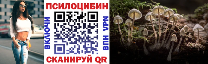 Галлюциногенные грибы мицелий Купить где Солнечногорск